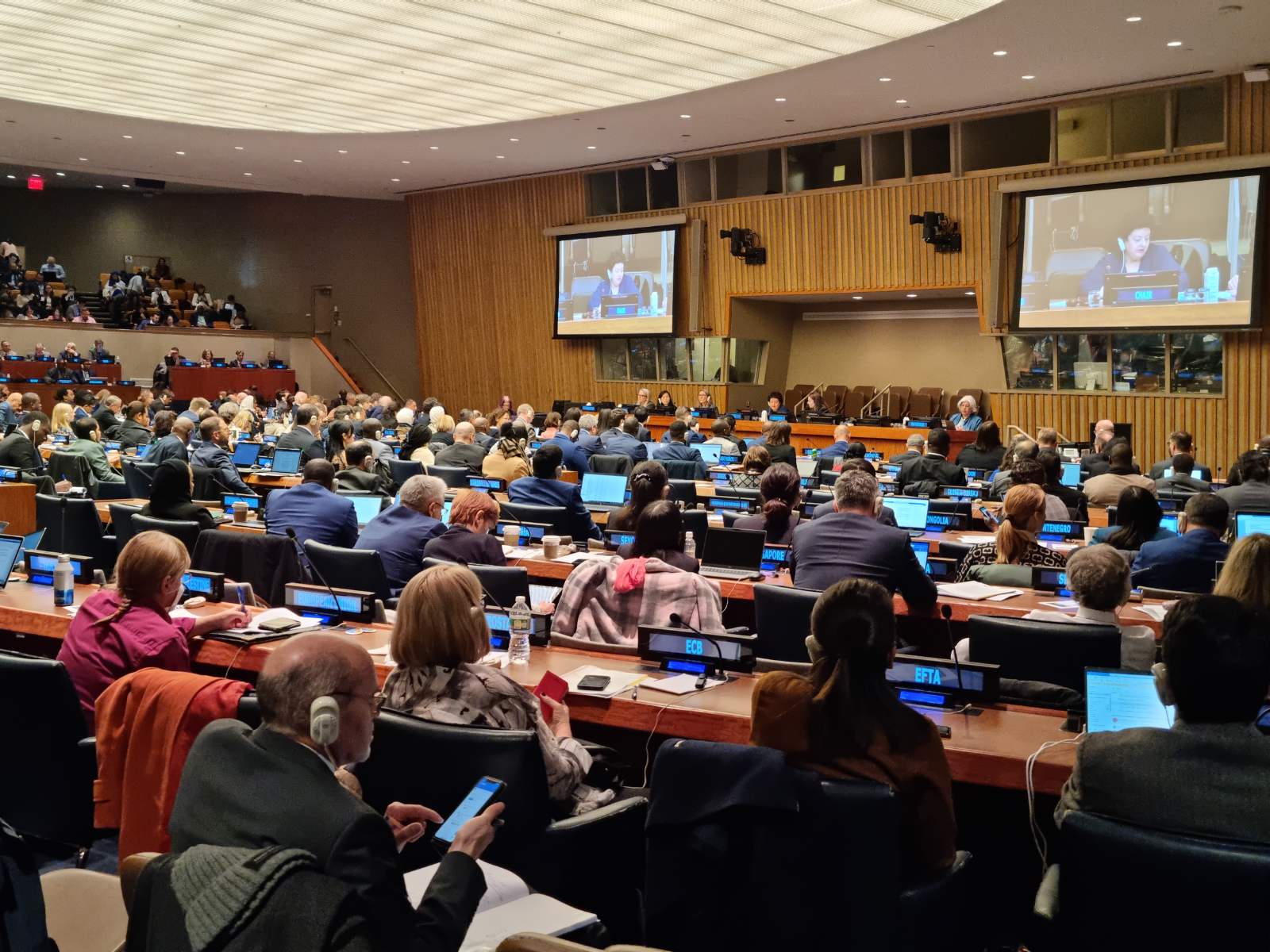 54th session of the UN Statistical Commission in New York 1