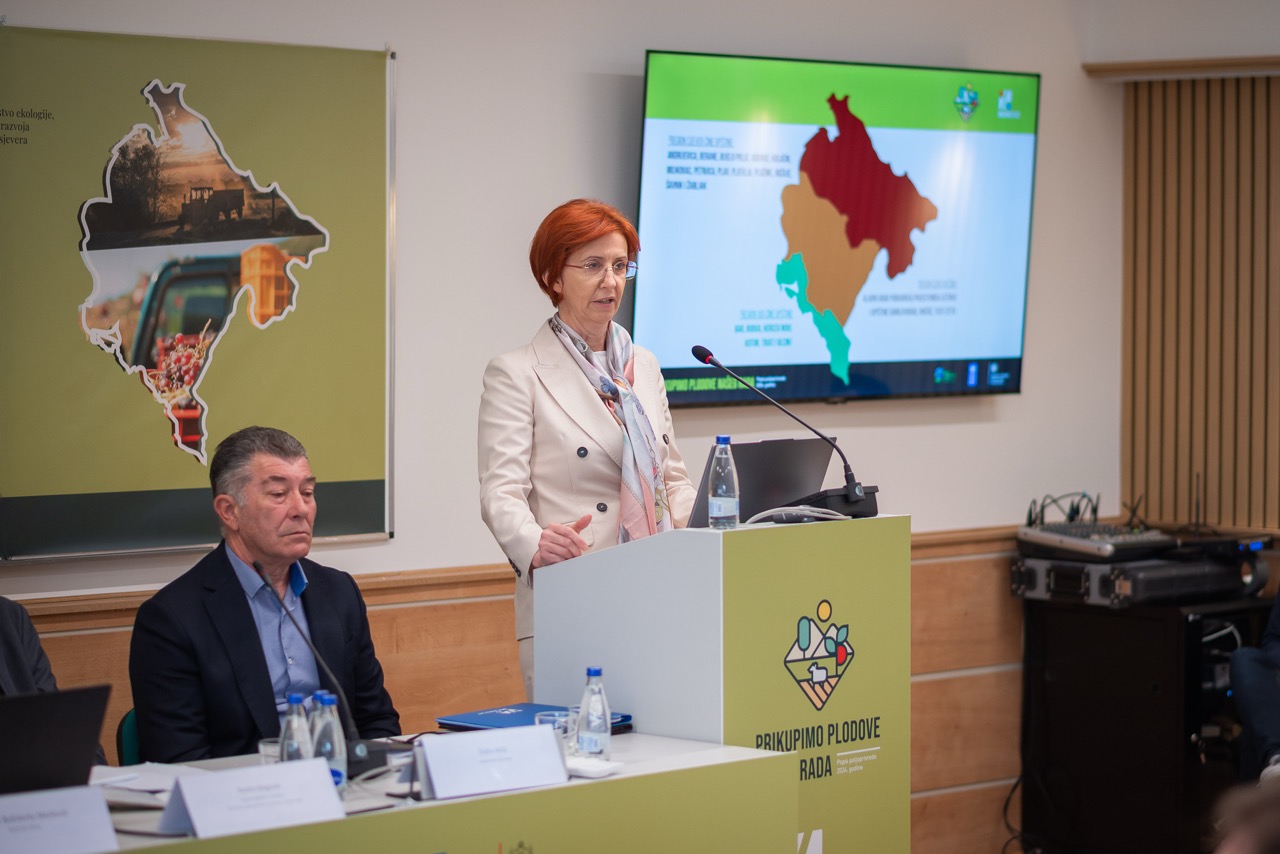 Round table "Agricultural Census 2024 - results and opportunities" 4