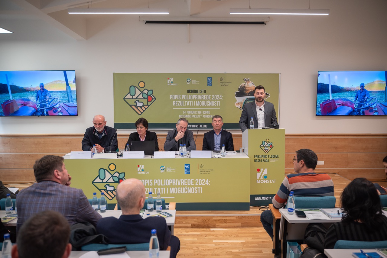 Round table "Agricultural Census 2024 - results and opportunities" 11