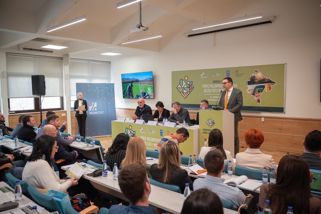 Round table "Agricultural Census 2024 - results and opportunities" 9