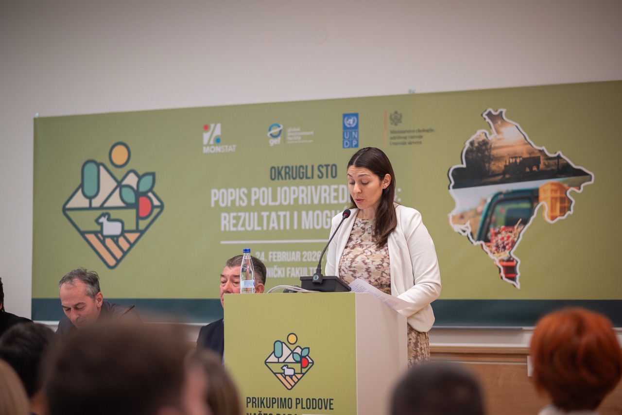 Round table "Agricultural Census 2024 - results and opportunities" 16